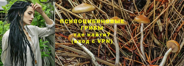 кристаллы Новокубанск