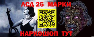 гидра Камышлов