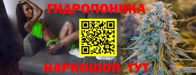 гидра Камышлов