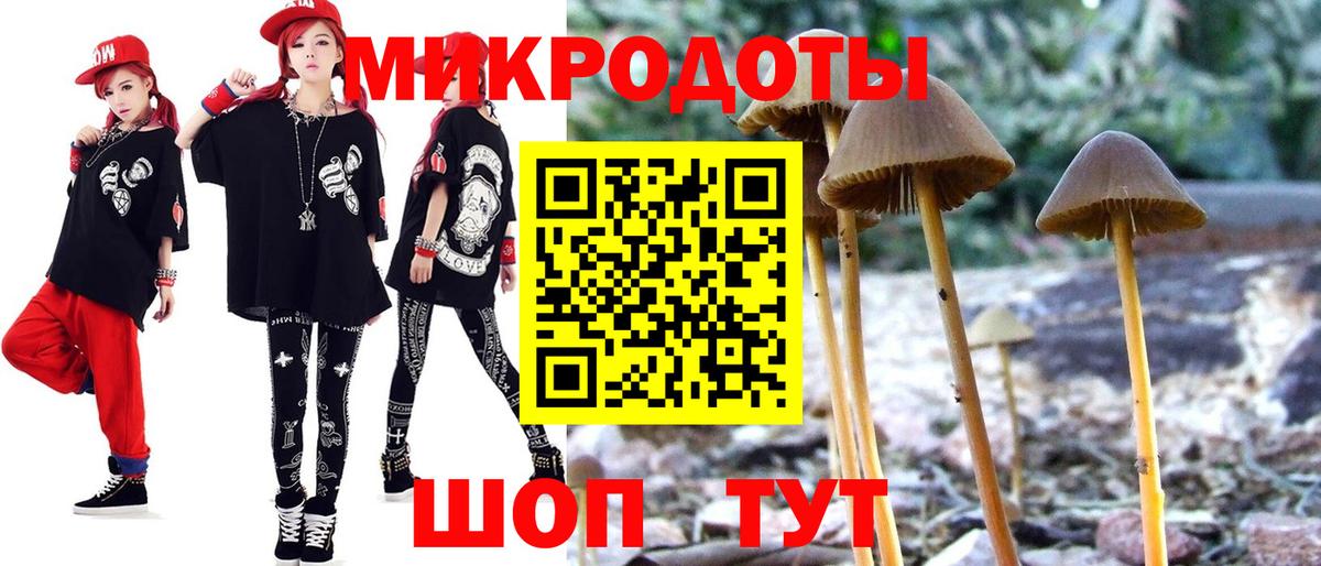 Галлюциногенные грибы Magic Shrooms  Краснознаменск  Псилоцибиновые грибы GOLDEN TEACHER 