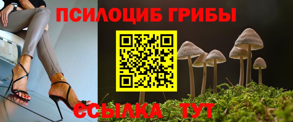Псилоцибиновые грибы GOLDEN TEACHER Краснознаменск